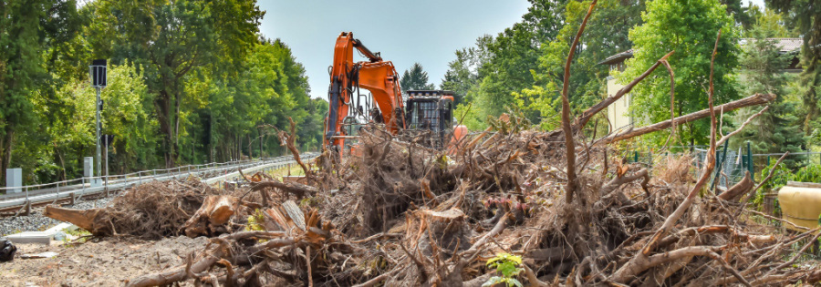 Removing Surface Vegetation